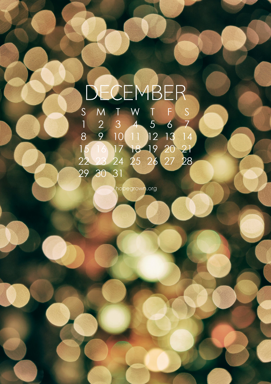✨ A Softer December: Creating Space for Calm, Connection & Thoughtful Gifting