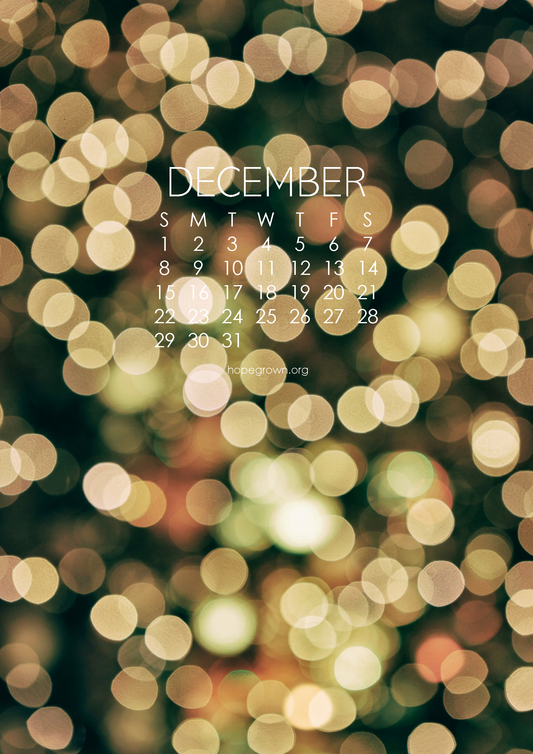 ✨ A Softer December: Creating Space for Calm, Connection & Thoughtful Gifting